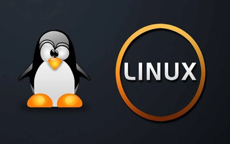 linux la phan mem gi dac diem chuc nang va cach hoat dong