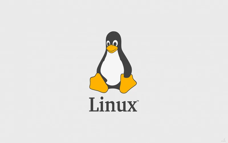 Linux là phần mềm gì? Đặc điểm, chức năng và cách hoạt động