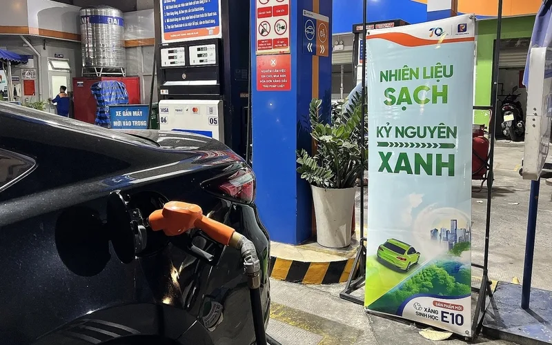 xang e10 co hai dong co khong nhung dieu can biet