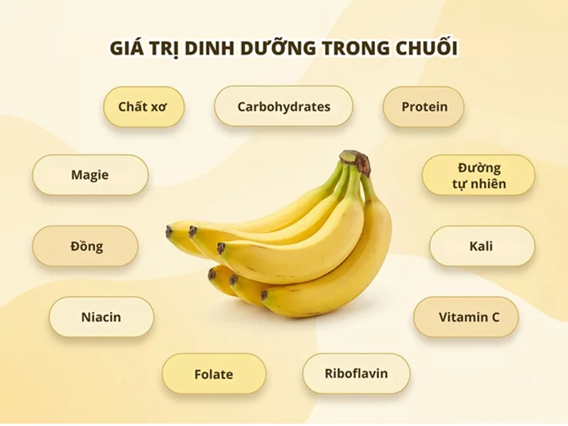 Chuối cung cấp carbohydrate, chất xơ, kali, vitamin B6 và một lượng vitamin C